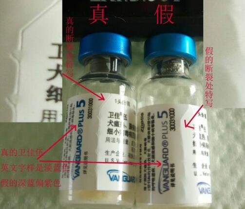 如何辨別輝瑞衛(wèi)佳疫苗真假?(圖3) 如何辨別輝瑞衛(wèi)佳疫苗真假?(圖3)