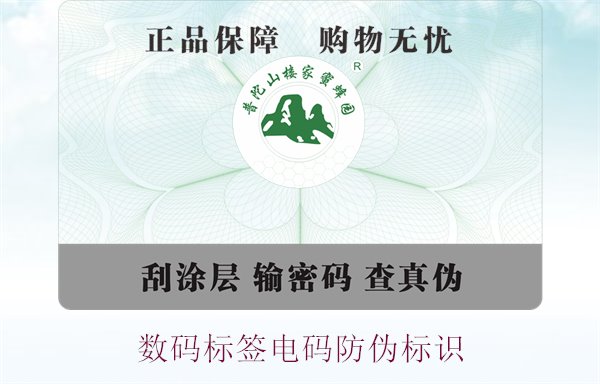 數(shù)碼標(biāo)簽電碼防偽標(biāo)識(圖1) 數(shù)碼標(biāo)簽電碼防偽標(biāo)識(圖1)