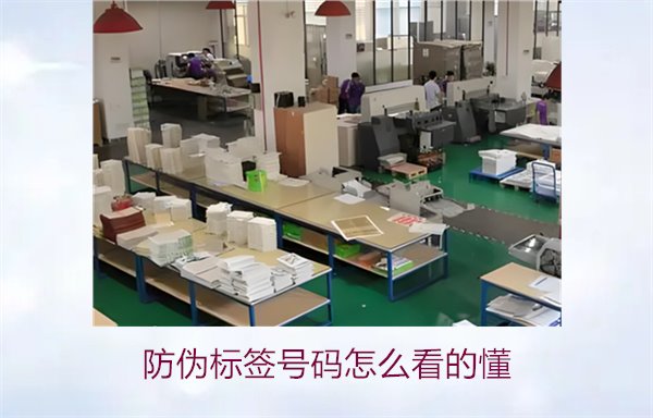 防偽標(biāo)簽號(hào)碼怎么看的懂？詳細(xì)解析防偽標(biāo)簽號(hào)碼的識(shí)別方法與技巧(圖2)