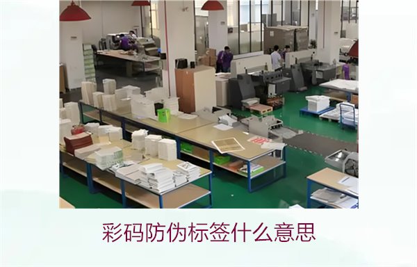 彩碼防偽標(biāo)簽什么意思？解析彩碼標(biāo)簽的防偽原理與應(yīng)用(圖2)