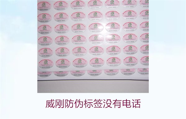 威剛防偽標(biāo)簽沒有電話,如何通過其他方式驗證威剛防偽標(biāo)簽的真?zhèn)?圖3) 威剛防偽標(biāo)簽沒有電話,如何通過其他方式驗證威剛防偽標(biāo)簽的真?zhèn)?圖3)